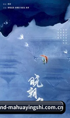 麻花影视 APP